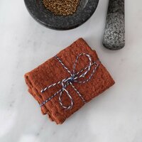 Baked Clay, set of 2 linen dishcloths