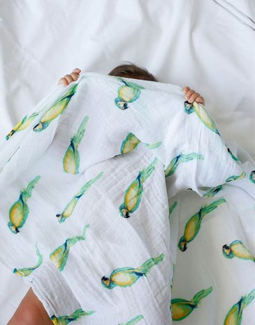 Malabar Baby swaddle Parrot