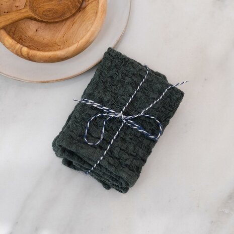 Forest green, set of 2 linen dishcloths