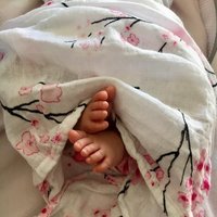 Malabar Baby swaddle Cherry Blossom